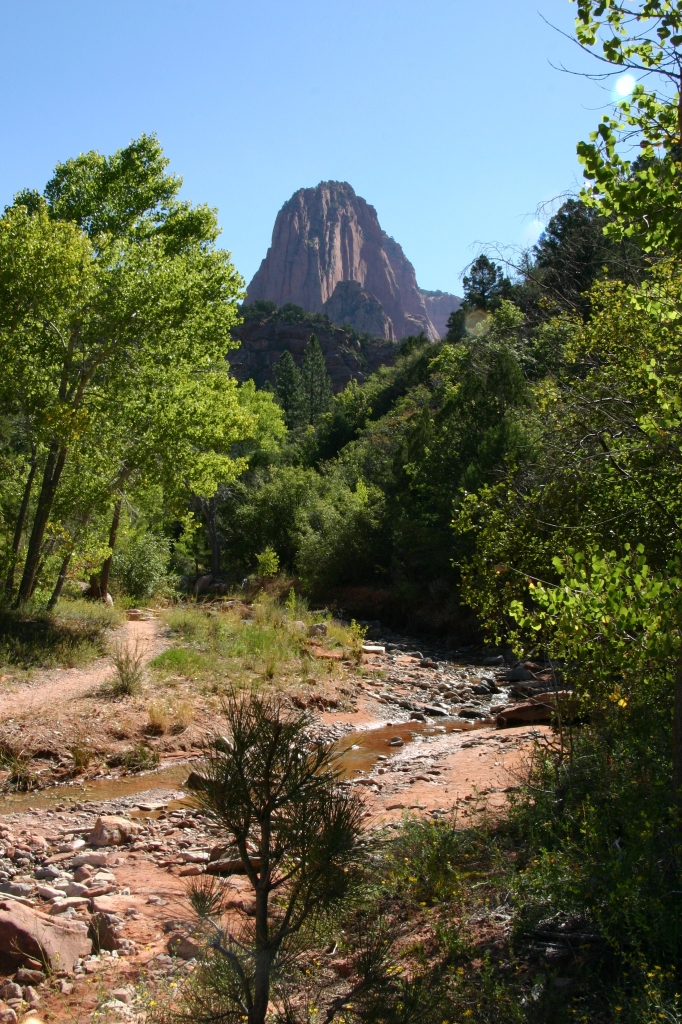 05 - Zion NP (15).jpg